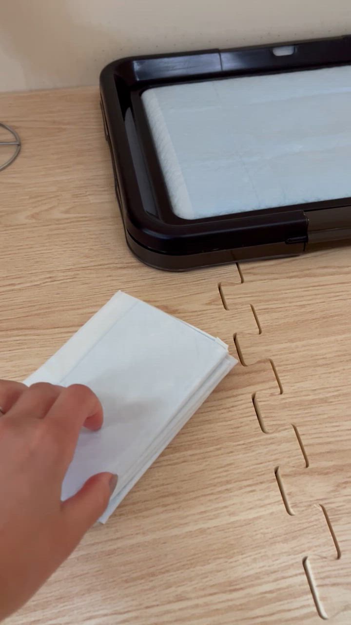 全体のレビュー動画のサムネイル | 4