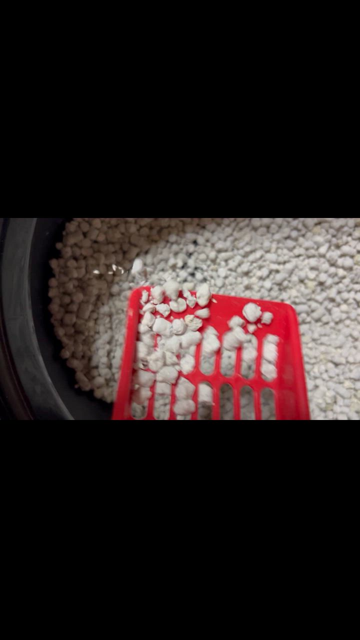 全体のレビュー動画のサムネイル | 7