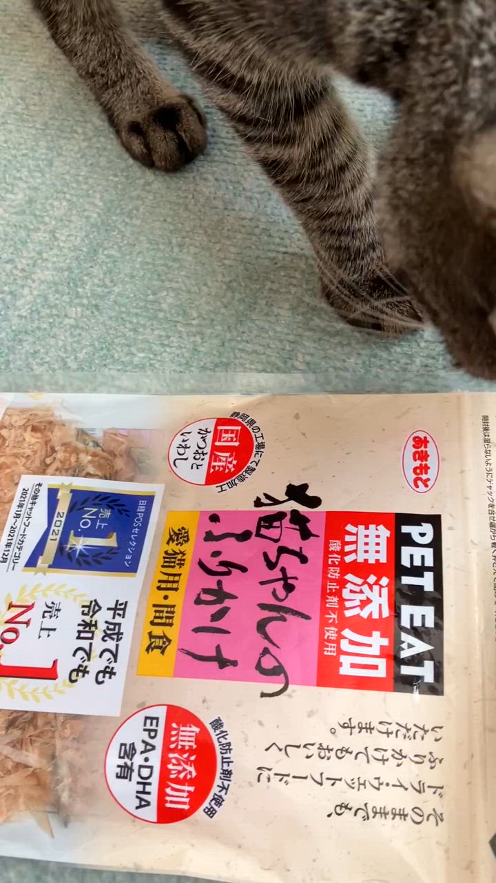全体のレビュー動画のサムネイル | 2