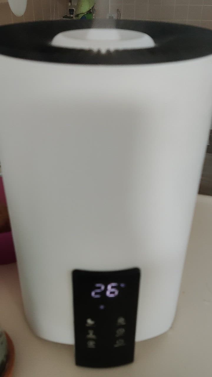 加湿器 大容量 8L スチーム式 ハイブリッド式 卓上 花粉対策 四