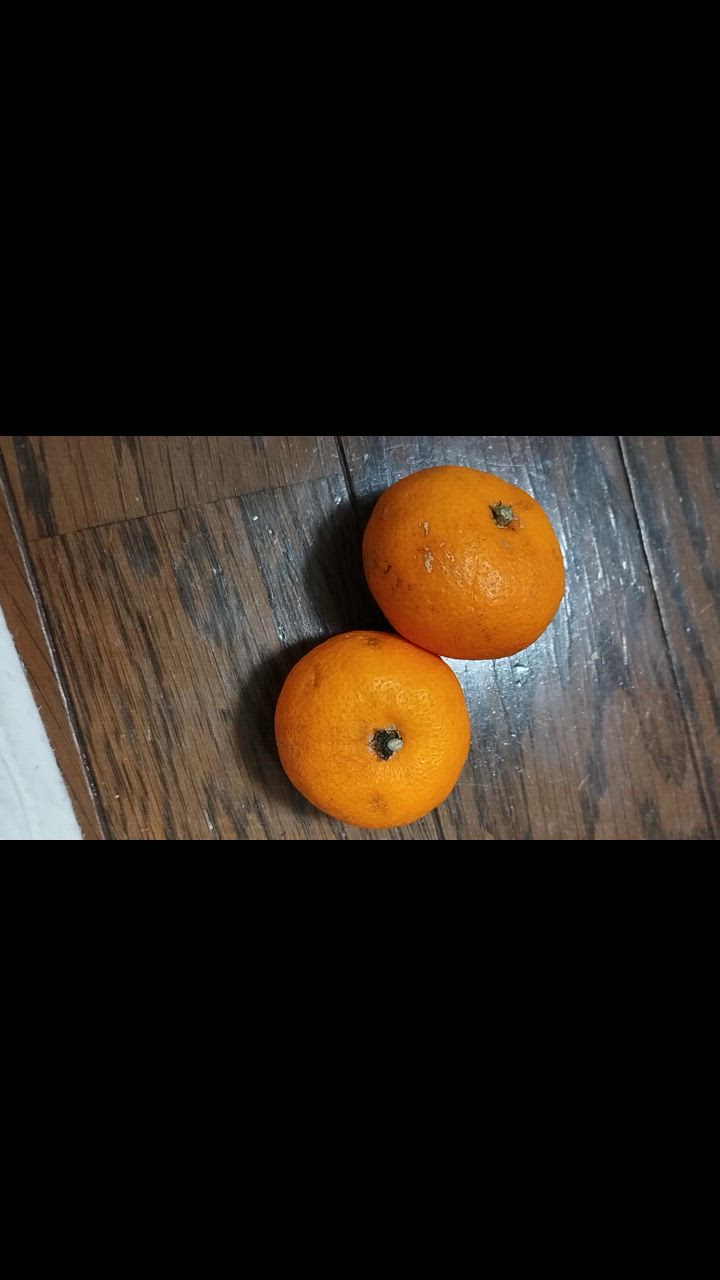 全体のレビュー動画のサムネイル | 10