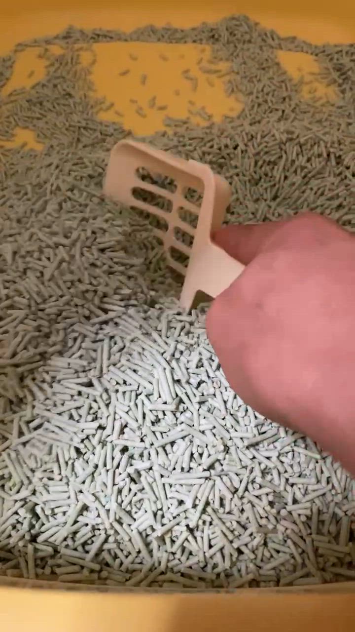 1件目のレビュー動画のサムネイル | 0