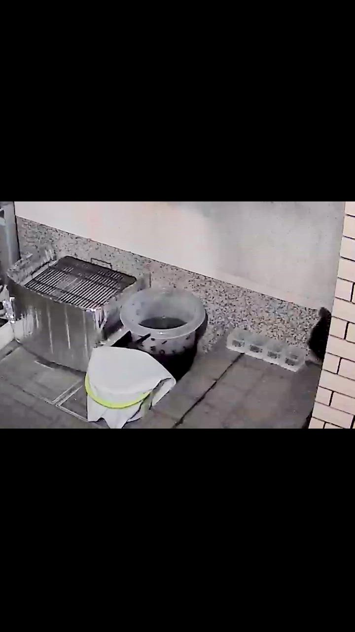全体のレビュー動画のサムネイル | 1