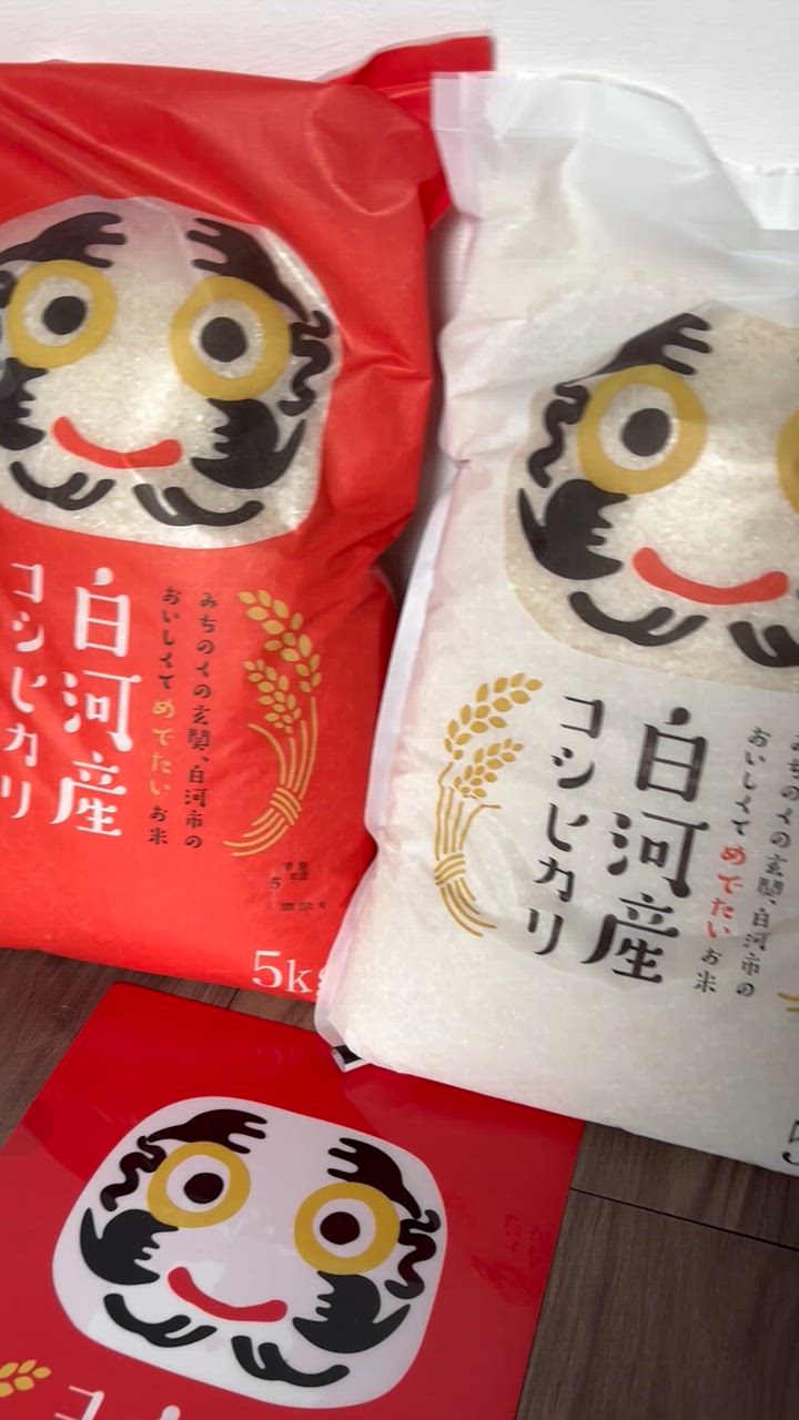コシヒカリ 米 お米 10kg 白河産コシヒカリ 令和6年度 送料無料 コシヒカリ 米 お米 10kg 白河産コシヒカリ 令和6年度 送料無料