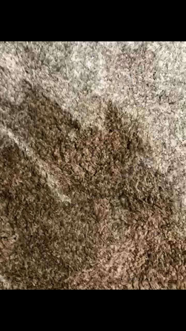 全体のレビュー動画のサムネイル | 0