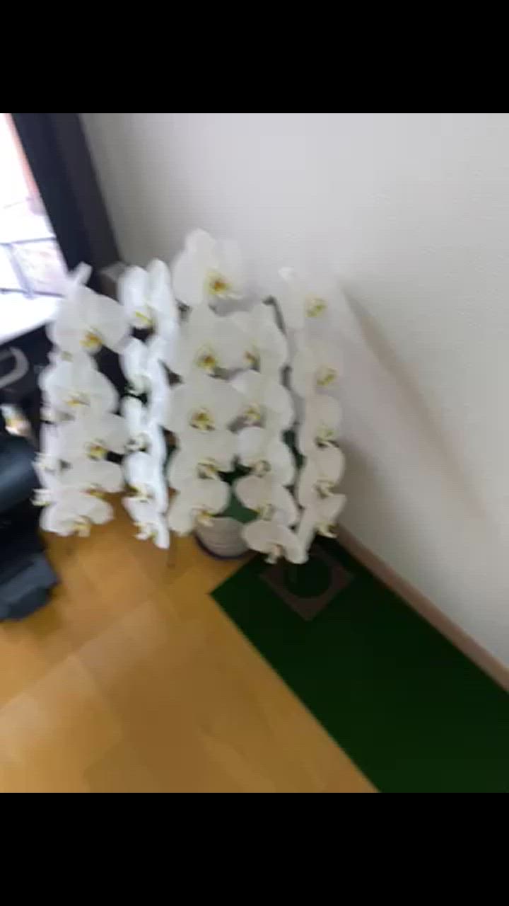全体のレビュー動画のサムネイル | 3