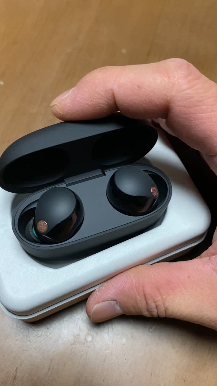 ソニー ワイヤレスノイズキャンセリングイヤホン WF-1000XM5