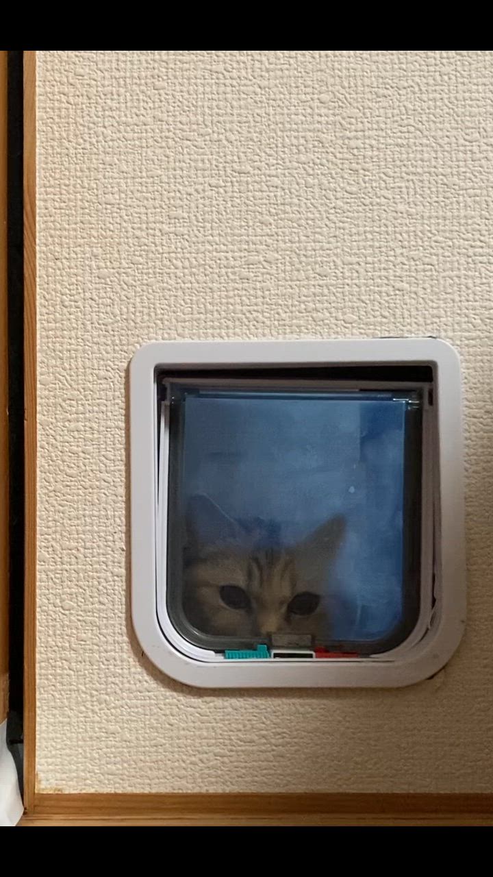 全体のレビュー動画のサムネイル | 2