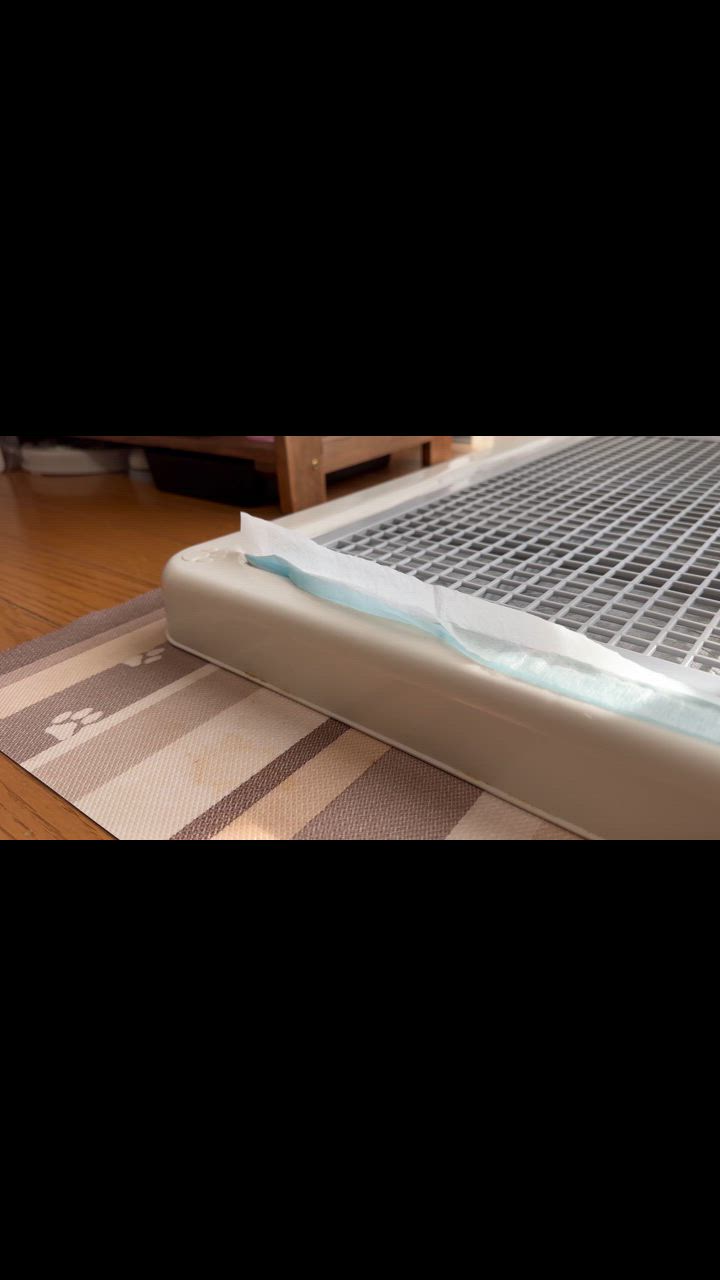 全体のレビュー動画のサムネイル | 0