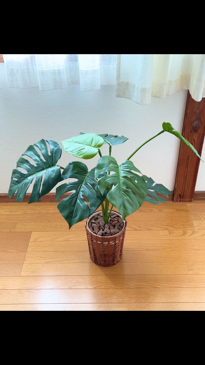 光触媒　人工観葉植物　フェイクグリーン　モンステラとアンスリューム@w フェイクグリーン 人工観葉植物 光触媒 観葉植物 モンステラ75cm