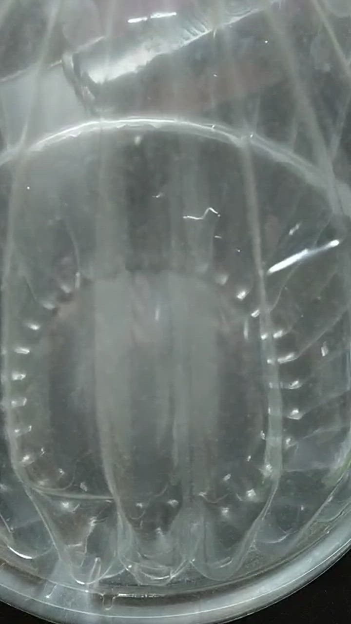 全体のレビュー動画のサムネイル | 1