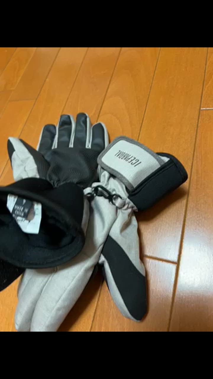 ICEPARDAL スノーボードグローブ レディース スノーグローブ