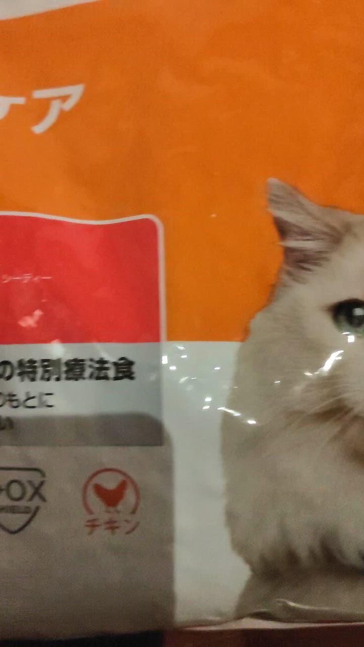 プリスクリプション・ダイエット ヒルズ 猫用 c/d マルチケア