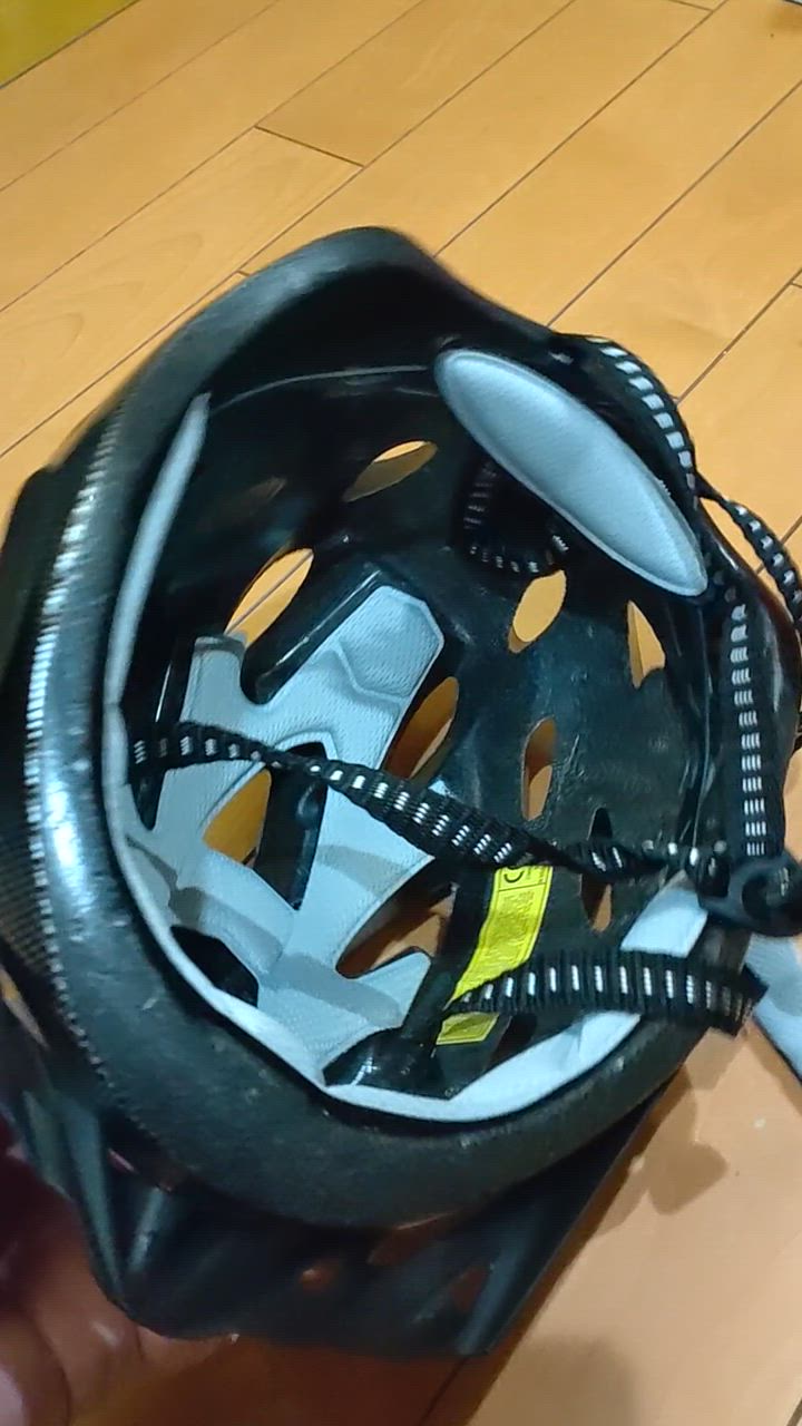 全体のレビュー動画のサムネイル | 8
