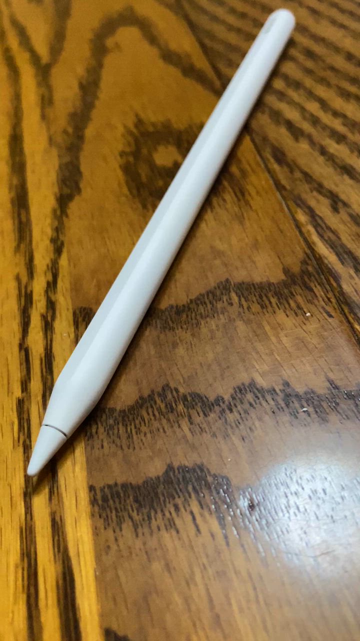 新品 国内正規品 保証開始品 Apple Pencil 2 アップルペンシル2 MU8F2J 