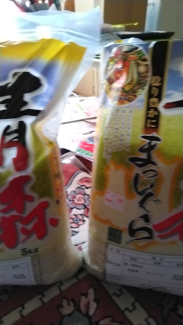 青森県産新米　まっしぐら 10キロ 精米25.05　お米　新米　白米　１０kg お米 5kg×2袋 青森県産まっしぐら 【新米】 令和5年産
