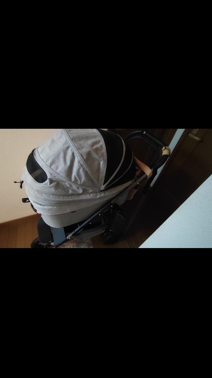 全体のレビュー動画のサムネイル | 1