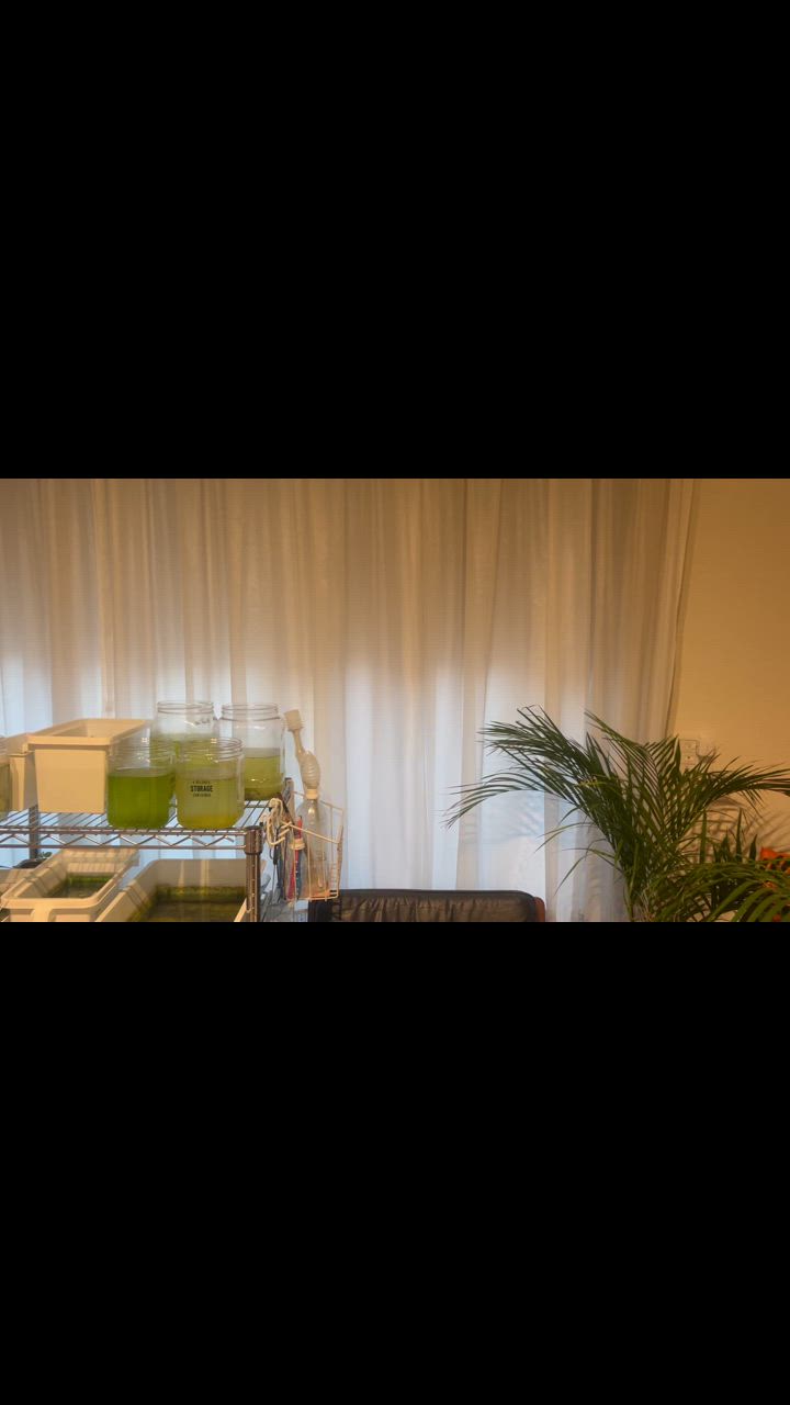 全体のレビュー動画のサムネイル | 4