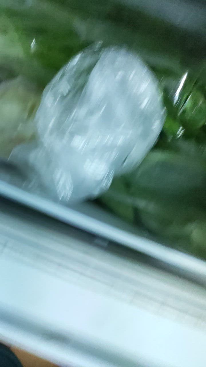 全体のレビュー動画のサムネイル | 3
