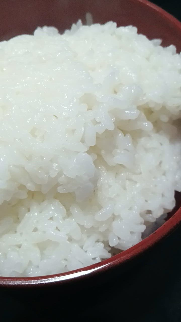 全体のレビュー動画のサムネイル | 1