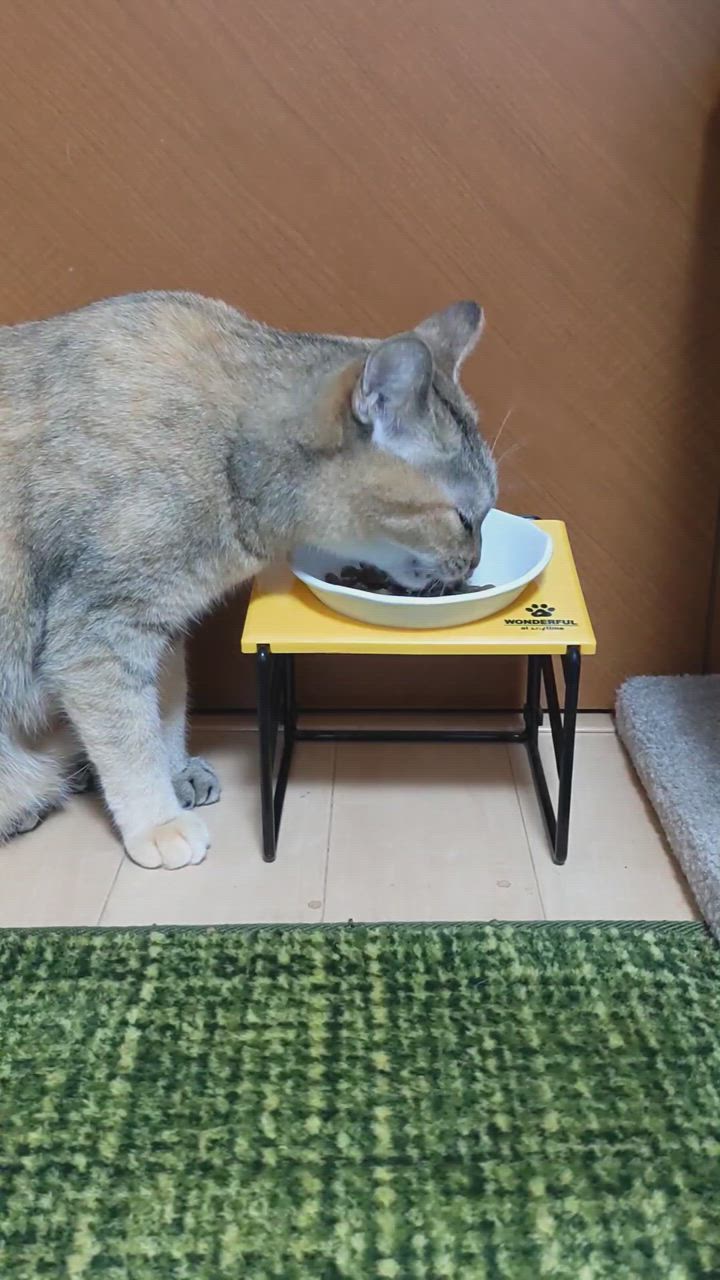 全体のレビュー動画のサムネイル | 4