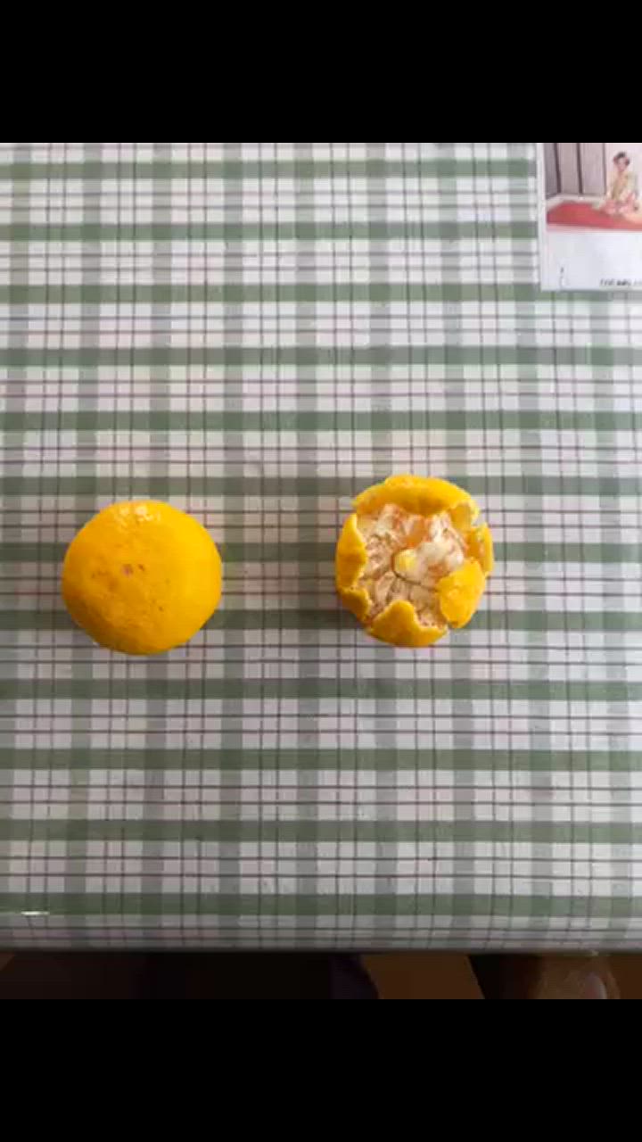 全体のレビュー動画のサムネイル | 0