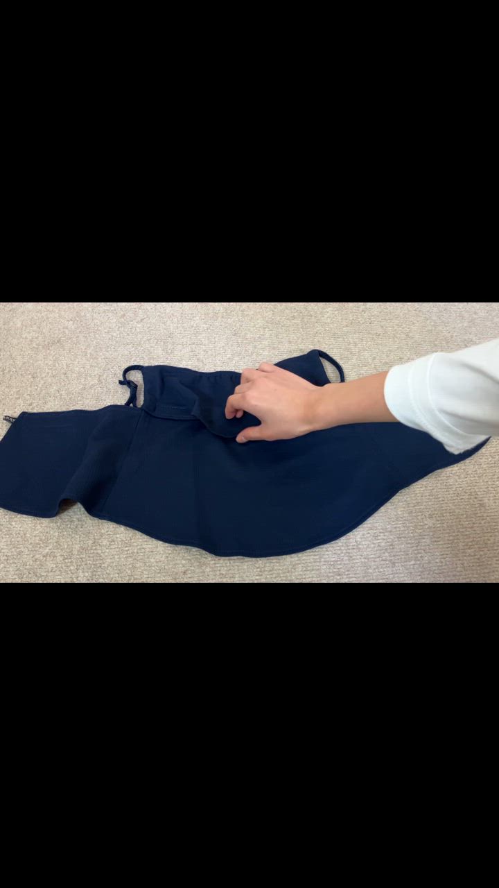 全体のレビュー動画のサムネイル | 11