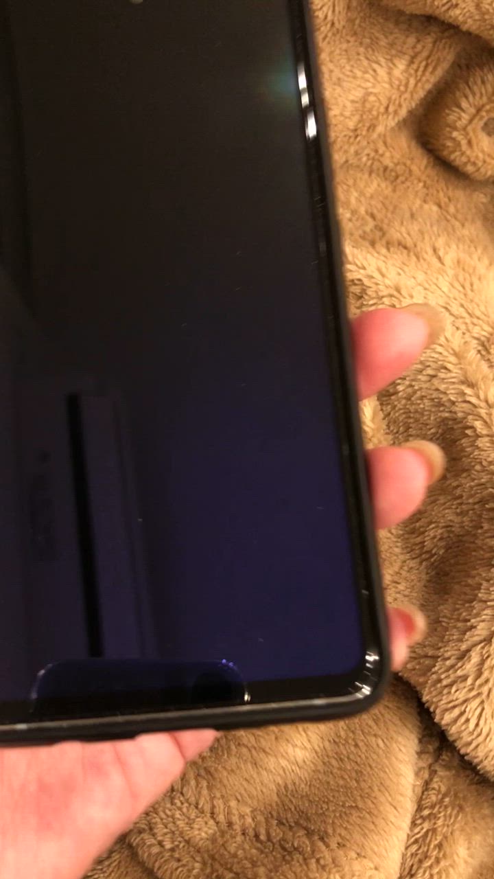 全体のレビュー動画のサムネイル | 1