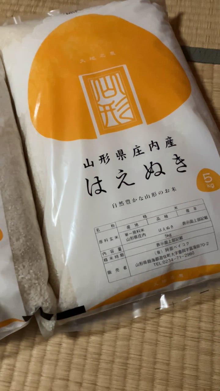 はえぬき 令和6年 米 10kg 山形県産 5kg×2袋 白米 精米 : 阿部