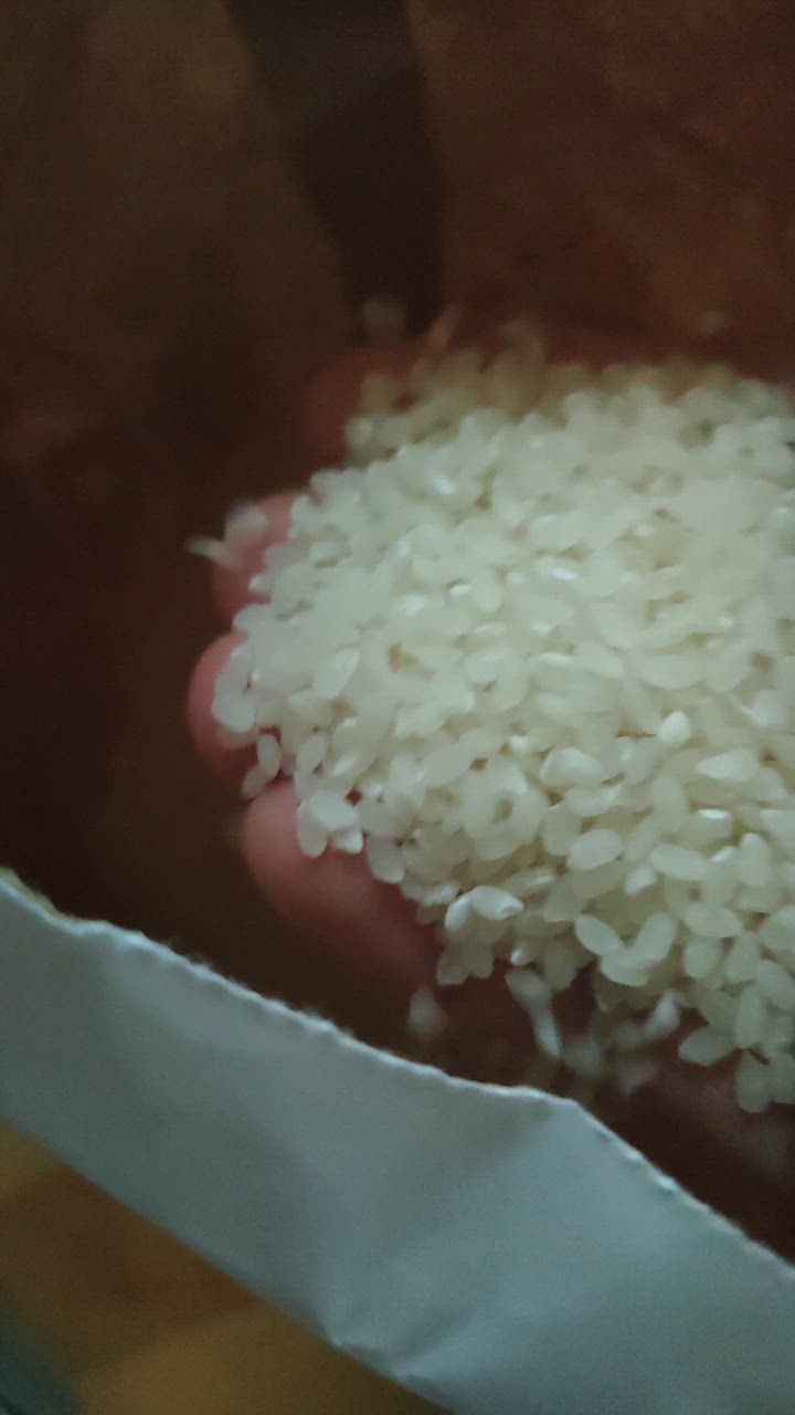 お米 米 30kg (5kg×6袋) まっしぐら 精米 令和6年産 青森県産 お米 米 30kg (5kg×6袋) まっしぐら 精米 令和6年産 青森県産