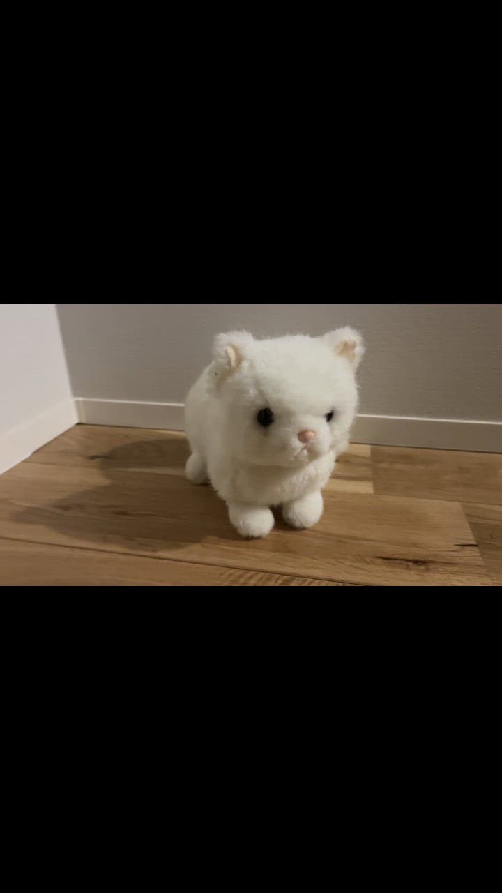 AIMI DUCK　ねこ　ネコ　猫　ぬいぐるみ　韓流　アイミダック 受注商品】ぬいぐるみ・ねこ立ち（大・黒） | KOESEN (Baby&Kids