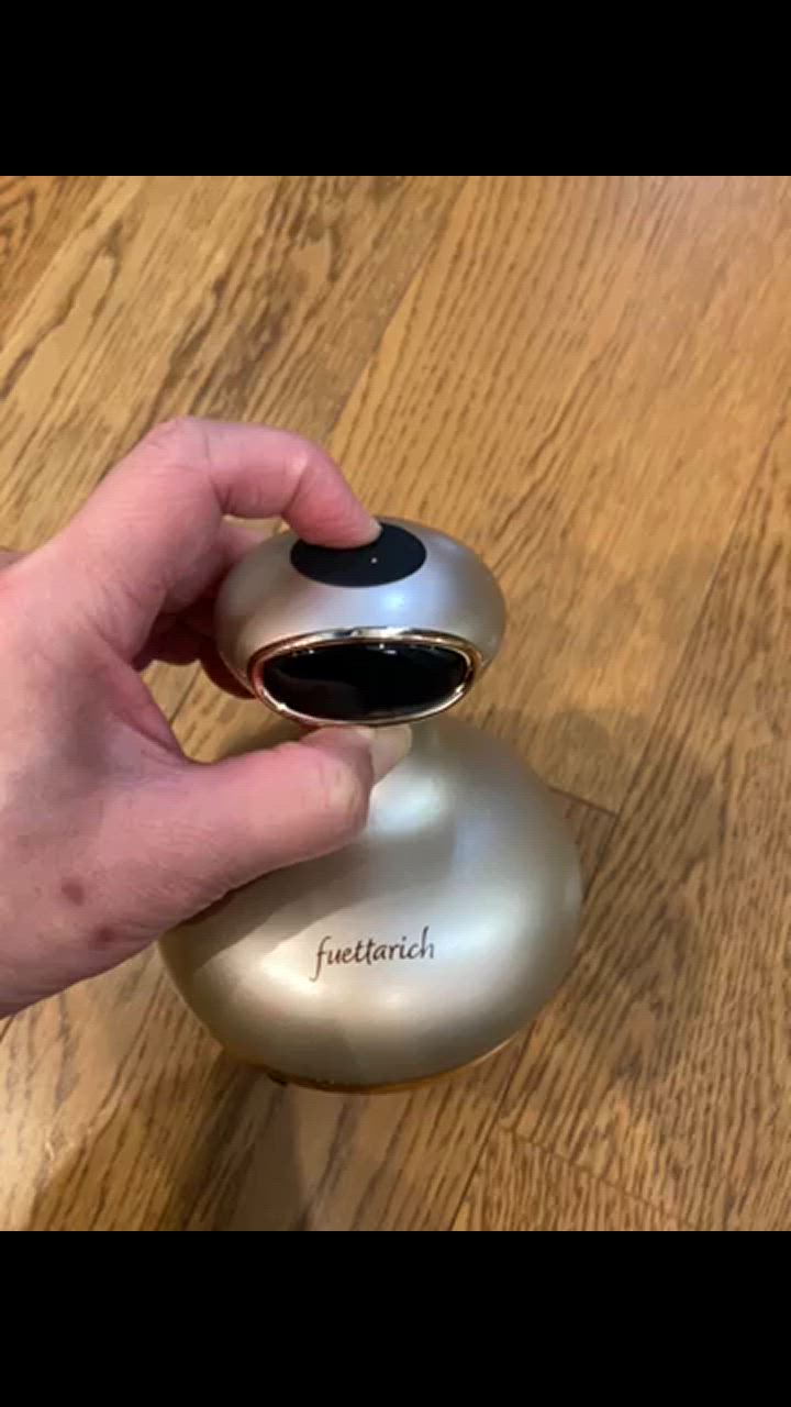 fuettarich フエッタリッチ スカルプ ヘッドスパ ems ブラシ