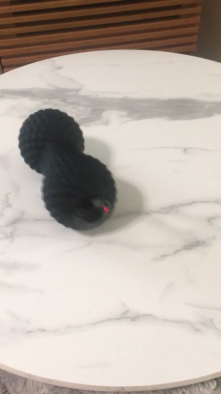 全体のレビュー動画のサムネイル | 15