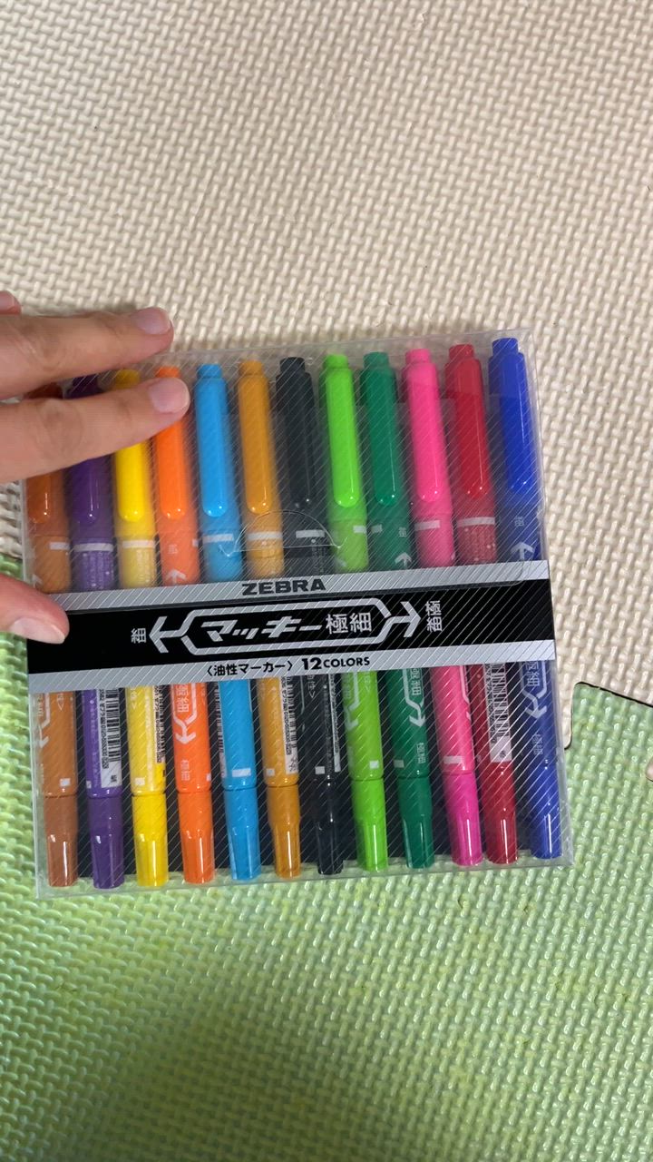 ゼブラ 油性ペン マッキー 極細 12色 MCF-12C ZEBRA 油性