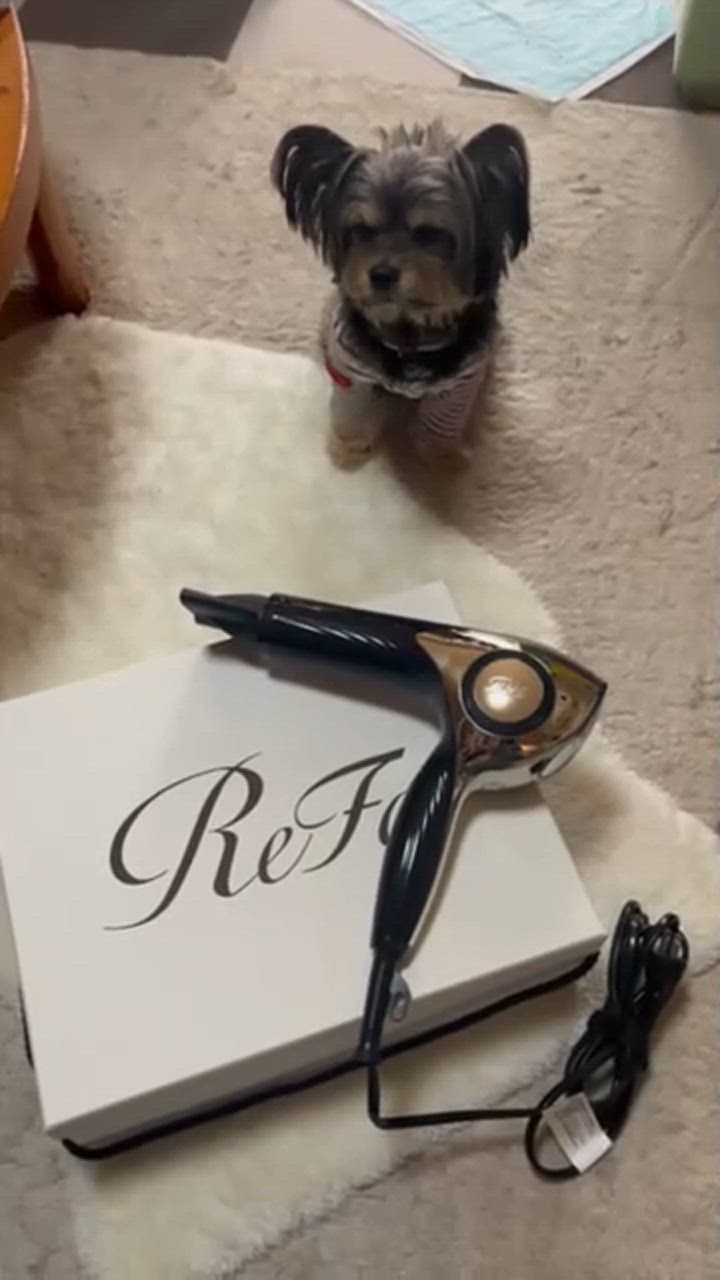 全体のレビュー動画のサムネイル | 0