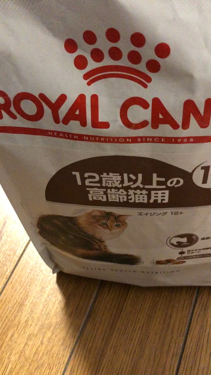 ロイヤルカナン エイジング12＋ 4キロ ロイヤルカナン 猫 エイジング ステアライズド 12+ 4kg×4袋