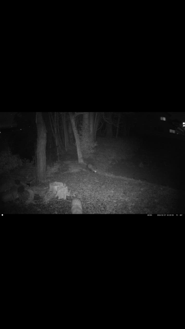 全体のレビュー動画のサムネイル | 0