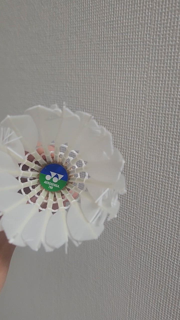 全体のレビュー動画のサムネイル | 1