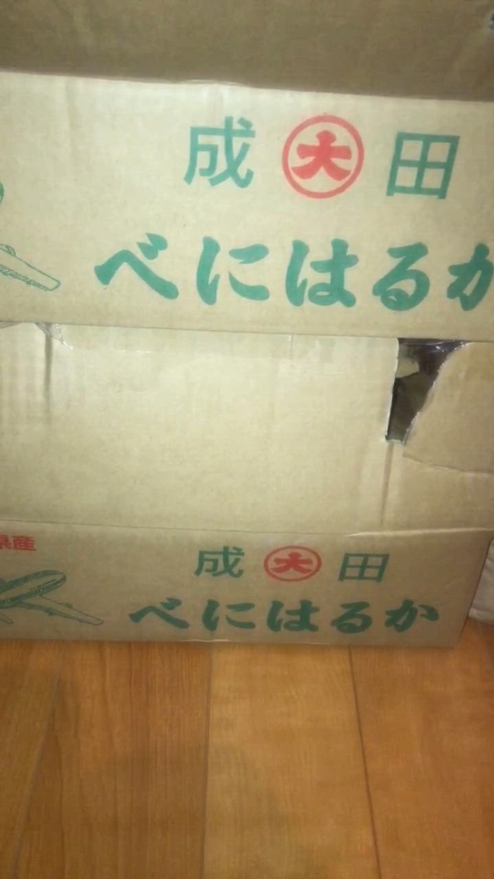 全体のレビュー動画のサムネイル | 7
