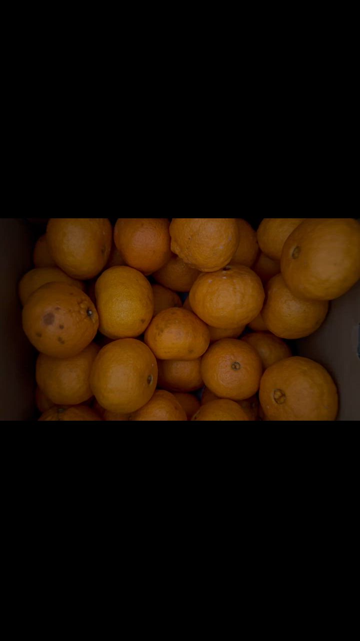 全体のレビュー動画のサムネイル | 10