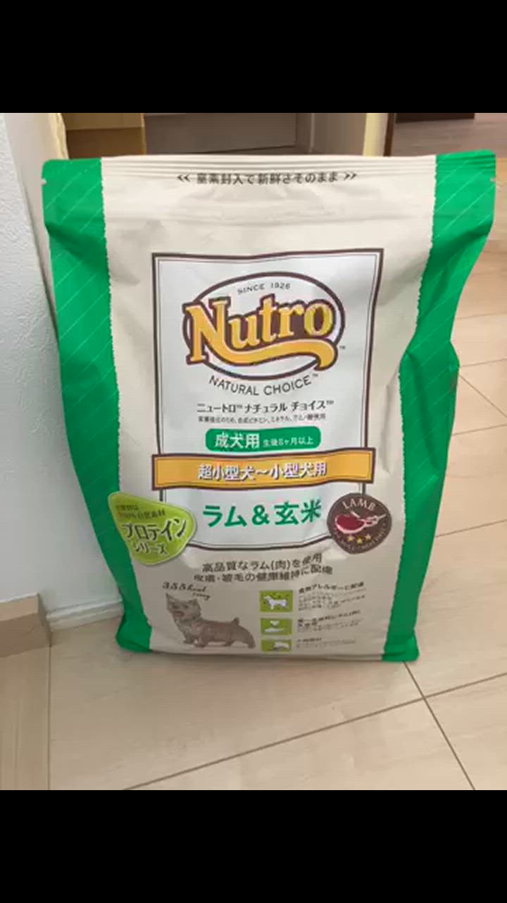 全体のレビュー動画のサムネイル | 5