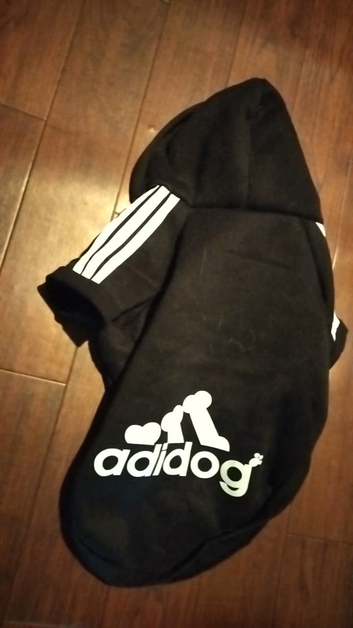 全体のレビュー動画のサムネイル | 5