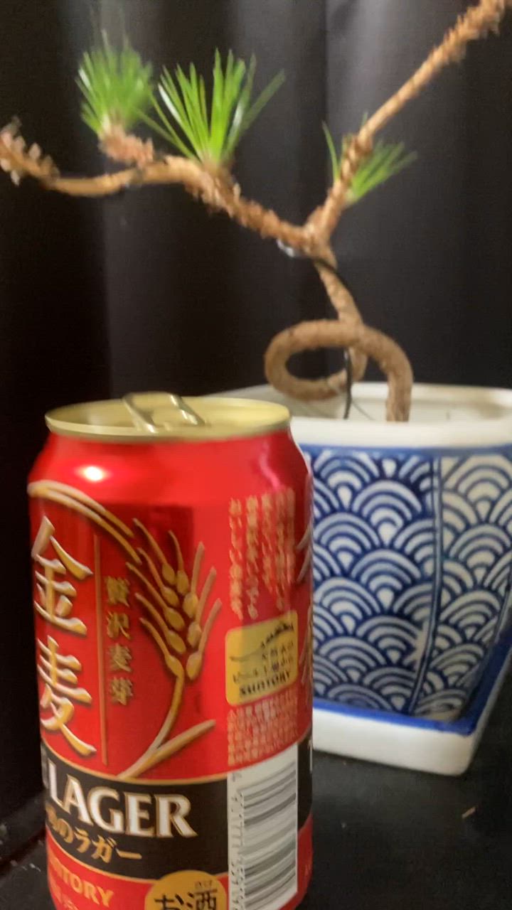 金麦 リッチモルト & 濃いめラガー 48本セット 金麦 新ジャンル サントリー ザ・ラガー 350ml×48本(2ケース