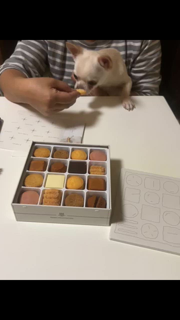 全体のレビュー動画のサムネイル | 5