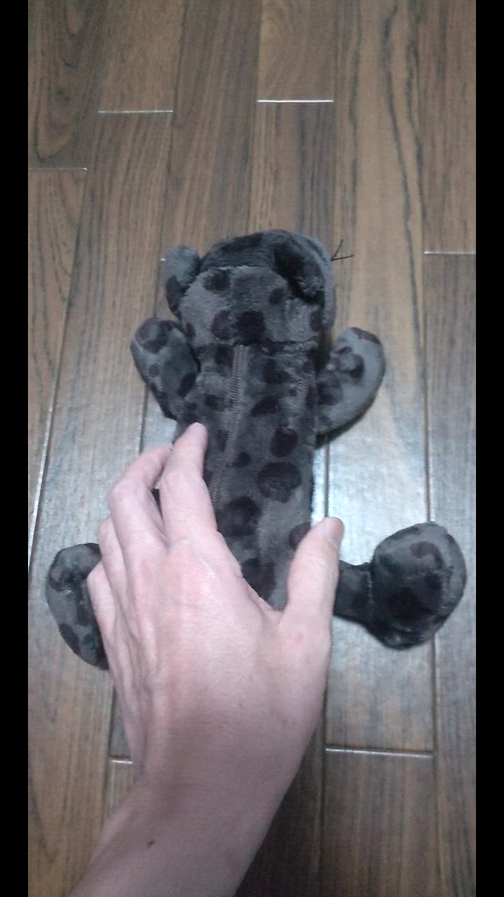 全体のレビュー動画のサムネイル | 0