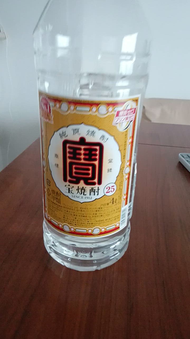 東北・関東・東海・北信越地区のみ発送可 宝焼酎 25° ４Lペット 4本 25度 111137-4.jpg