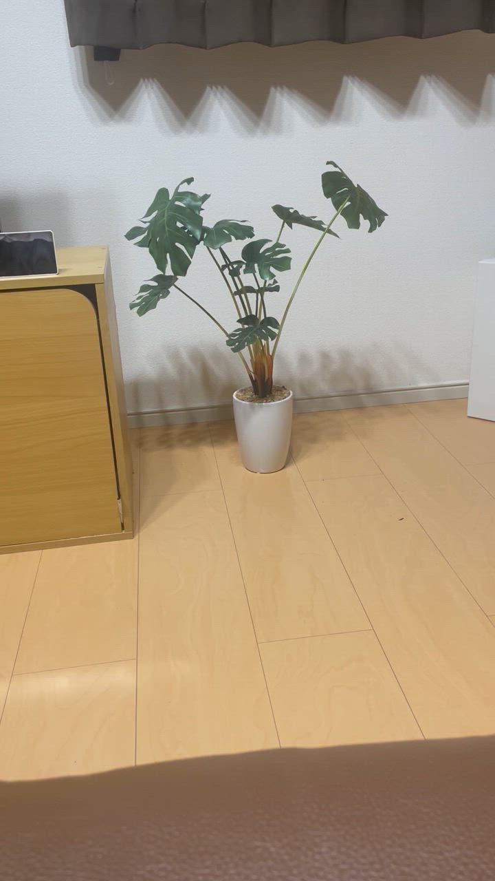 全体のレビュー動画のサムネイル | 0