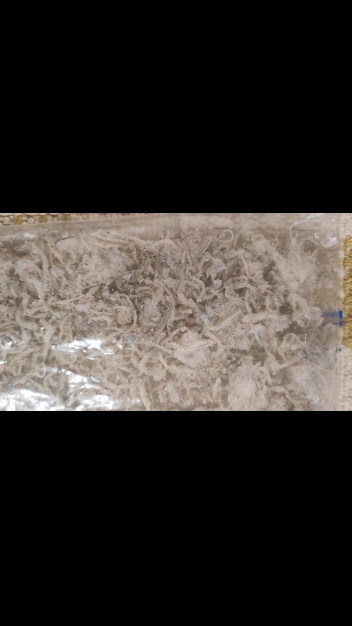 全体のレビュー動画のサムネイル | 6