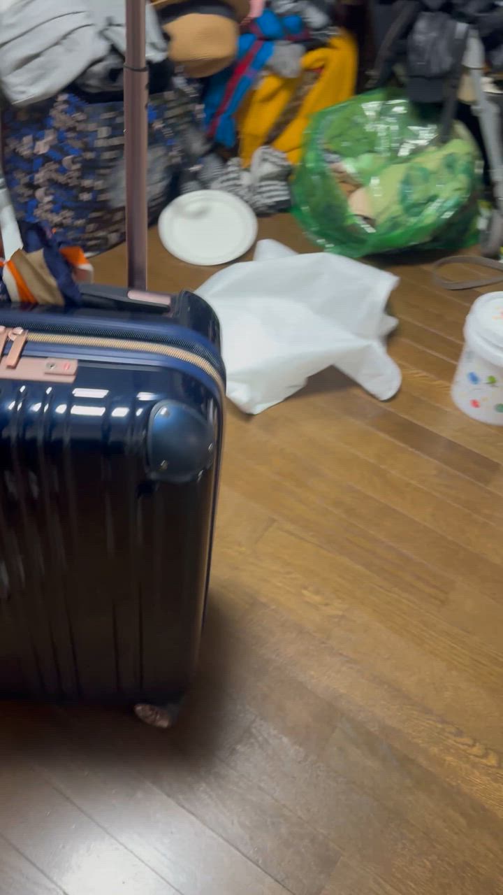 全体のレビュー動画のサムネイル | 4