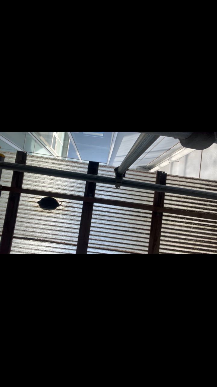 全体のレビュー動画のサムネイル | 3